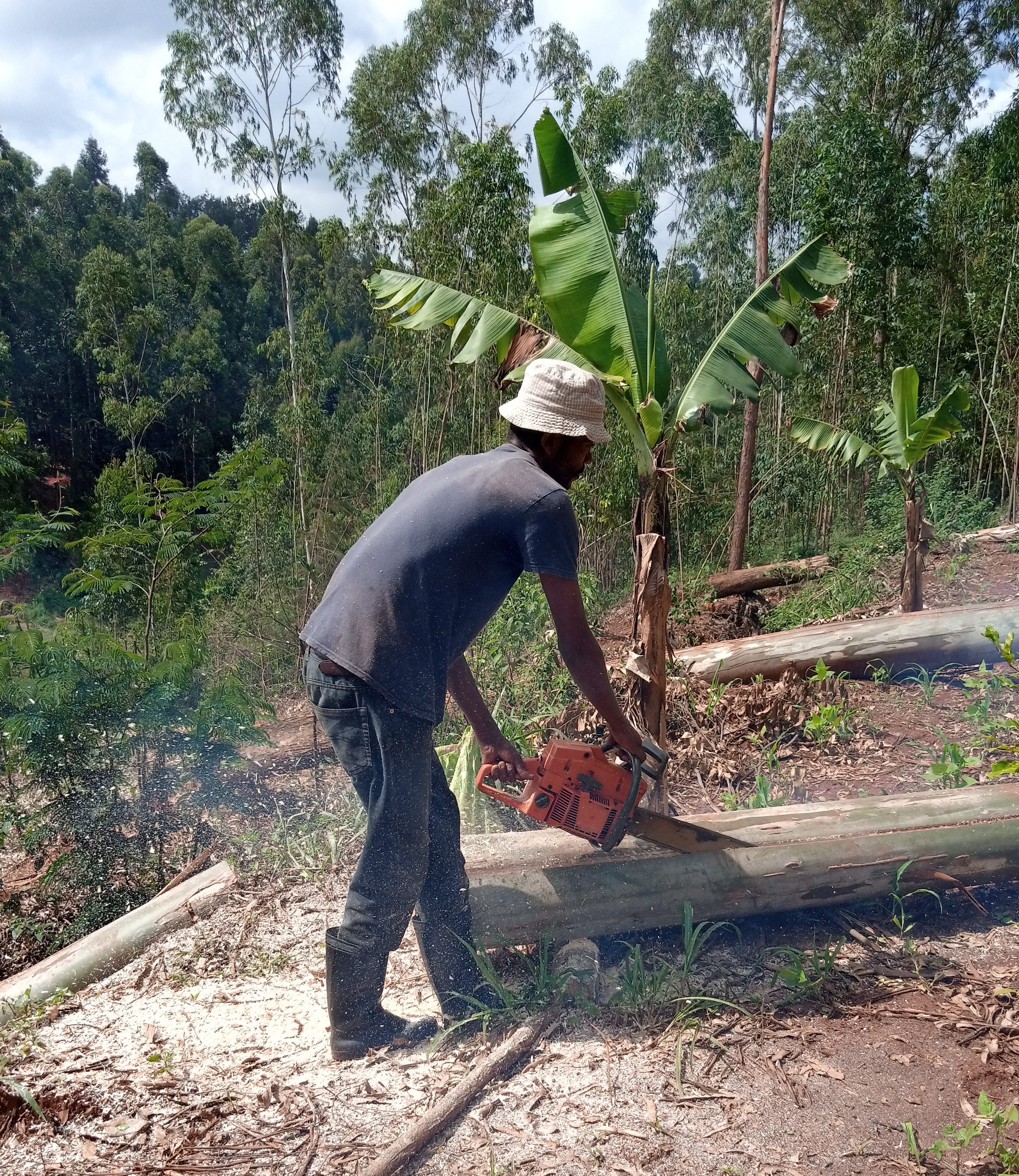 Artisans sourcing sustainable materials